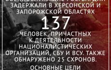 Последствия СВО: Росгвардия задержала в Херсонской и Запорожской областях 137 пособников националистов