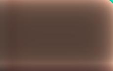 Суд Бреста вынес приговор гражданке РФ за клевету в адрес Лукашенко