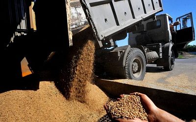 Польша разъяснила детали запрета на импорт зерна с Украины