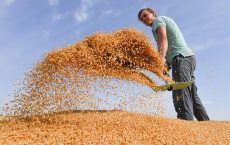 Польша пригрозила односторонним эмбарго на зерно с Украины