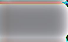 Шольц отказался от поездки в Киев из-за нежелания Зеленского принимать президента ФРГ