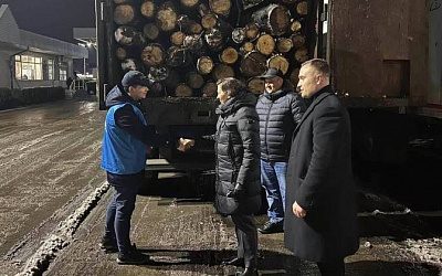 Румыния прислала Молдове первую партию дров