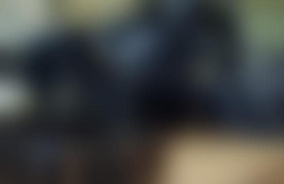 Благодаря чему выжил и развивается белорусский кинематограф?