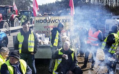 Советник президента Польши заявил о непричастности оппозиции к протестам фермеров