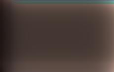 Сейм Литвы снова обсуждает снижение возрастного порога для местных выборов