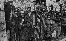 «Я видел ребенка, которому с какой-то "научной" целью вставили чужой кусок тела»: из воспоминаний советских военных, освобождавших Освенцим