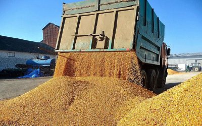 Стрельба по собственным ногам: власти Латвии воюют с импортом продовольствия из России