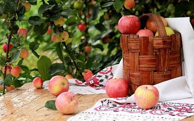 Россельхознадзор вводит запрет на ввоз в Россию растительной продукции из Молдовы