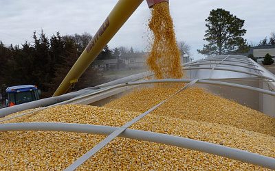 Соломинка для утопающего: Прибалтика предложила альтернативу «зерновой сделке»