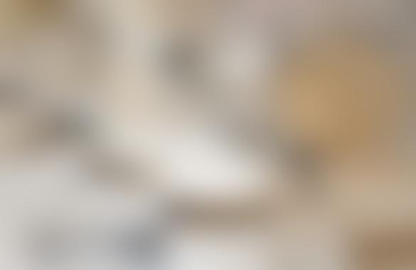 Эстония намерена продать Латвии ненужные монеты