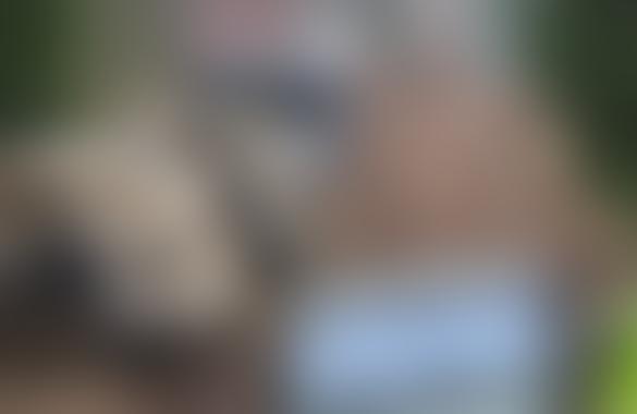 «Не опять, а снова»: в Литве назвали, кто виноват в гибели американских военных