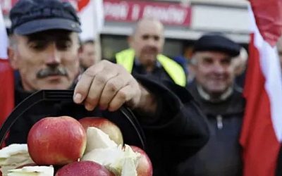На Украине высказали позицию по эмбарго на польские фрукты и овощи