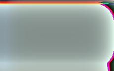 В Нарве пожаловались на предвыборные плакаты на русском языке