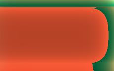 В Польше на марше в честь Дня независимости националисты сожгли флаг Германии (видео)