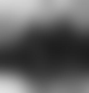 Вы героизируете нацизм в Европе: Латвия потерпела крупнейшее дипломатическое поражение 