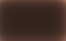 Депутат Рады обвинил Зеленского в работе на западные страны