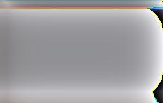 В ФСБ сообщили о ликвидации группы украинских диверсантов в Брянской области