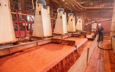 В Минтрансе Литвы рассказали, когда будет остановлен транзит продукции «Беларуськалия»