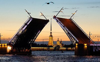 Медведев разрешил гражданам ЕС посещать Петербург по электронной визе