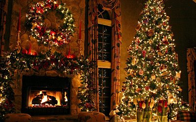 «Елка раздора» и «елка на потолке»: 7 историй от символа Нового года