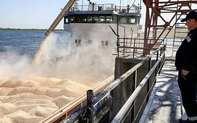 Страны Балтии, Польша и Чехия требуют от ЕС ограничить импорт зерна из РФ и Беларуси