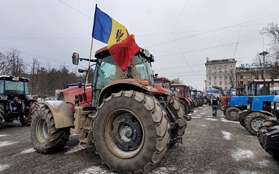 Фермеры в Молдове требуют ввести режим ЧП в сельском хозяйстве