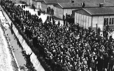 В концлагерь Дахау летом 1944-го привезли 120 советских офицеров. Их мучили и пытали, но ни один не перешел на сторону немцев. Эсэсовцы были в шоке