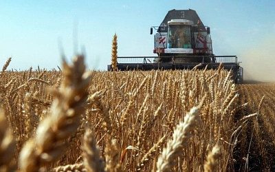 Тайвань открыл рынок для зерна из Литвы