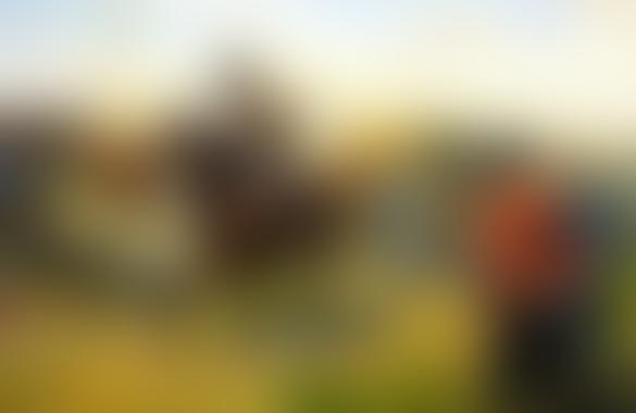 Россия уже побеждала Польшу и Литву в борьбе за умы украинцев