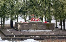 СК России возбудил дело об осквернении памятника советским воинам в Латвии