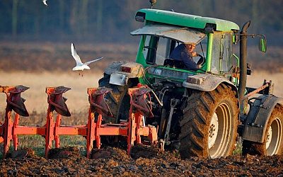 В Латвии предложили национализировать купленные иностранцами неиспользуемые в сельском хозяйстве земли