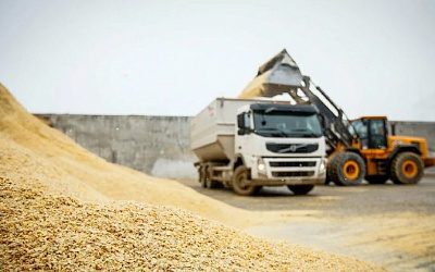 Польша экспортировала рекордные объемы зерна