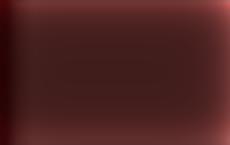 Лукашенко: вести переговоры о заключённых Минск будет только с США