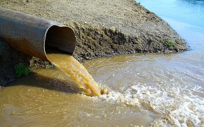 Корюшку ловить нельзя? Литовский завод несколько лет отравлял Куршский залив