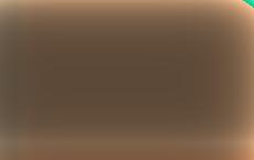 Чешского депутата уволили за бутерброды с буквой Z