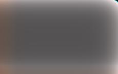 Пушков высмеял Польшу за слова о спасении Европы от «Северного потока — 2»