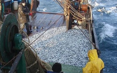 Рыбацкое ремесло в Эстонии держится на пожилых руках