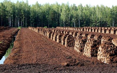 Промышленное «чудо» Латвии состоялось благодаря советским инвестициям в энергетику