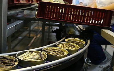 Прибалтийские шпроты не нашли замены российскому рынку