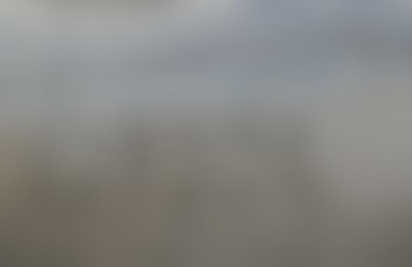 «Латвия открыла свое председательство в ЕС запретом выставки о Холокосте»