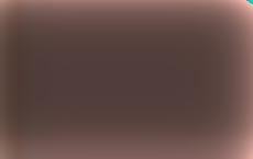 Посол РФ потребовал объяснений за призыв американского сенатора «убить Путина»