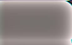 Зеленский помирился с президентом Германии