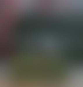 Польша начала развертывание системы борьбы с дронами на границе с Беларусью