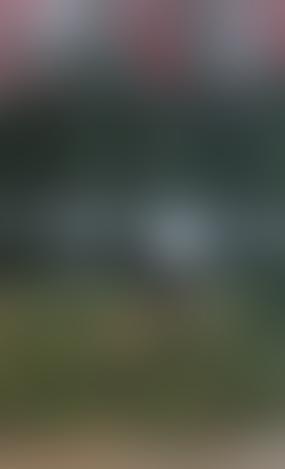 Польша начала развертывание системы борьбы с дронами на границе с Беларусью