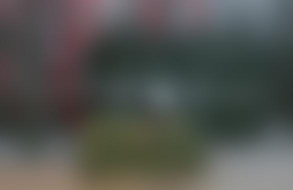 Польша начала развертывание системы борьбы с дронами на границе с Беларусью