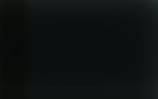 Латвийские пограничники на границе с Беларусью задержали три группы нелегалов из Ирака