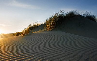 Что угрожает экологии Балтийского региона?