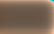 Главу Минобороны Латвии обвинили в подхалимстве перед Дональдом Трампом