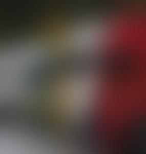 Оппозиция в Литве обвинила власти в блокировке грузовиков на территории Беларуси