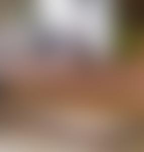 Литва намерена инвестировать в завод боеприпасов четверть миллиарда евро